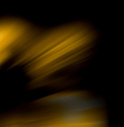 Bill Miller Engineering Top Fuel Dragster and Race Team